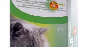 Cestal kat - от който помага и как да се даде котка